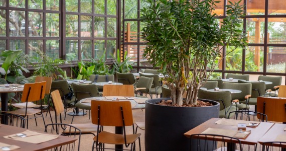 Bossa Bakery Bossa Bakery