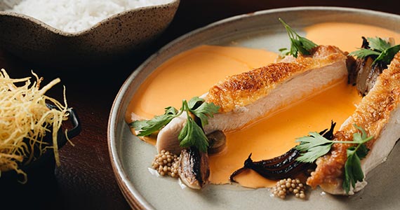 Caos Brasilis Caos Brasilis