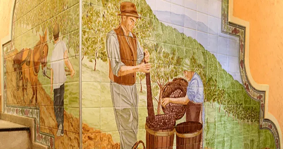 Adega Cave do Douro Adega Cave do Douro