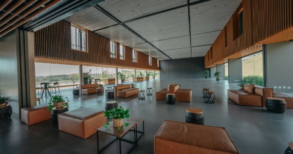 Clara Ibiúna Clara Ibiúna