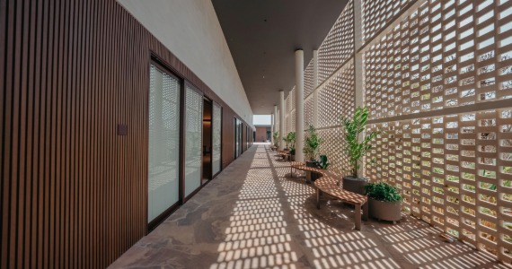 Clara Ibiúna Clara Ibiúna