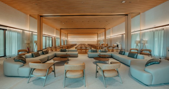 Clara Ibiúna Clara Ibiúna