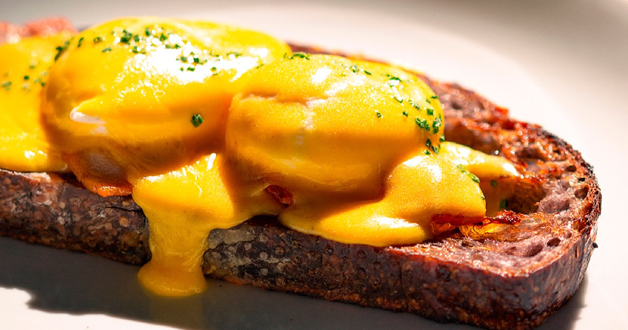 Deus Ex Machina Brasil