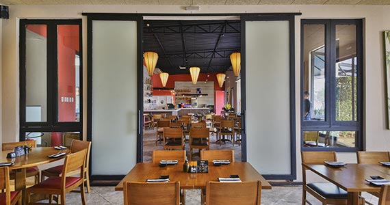 Djapa Mogi Djapa Mogi