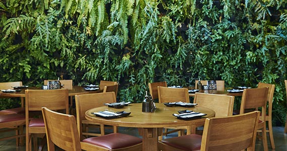 Djapa Mogi Djapa Mogi