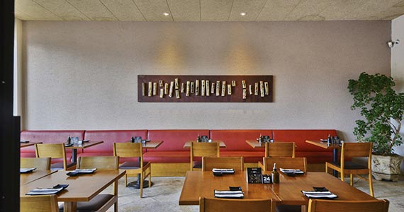 Djapa Mogi Djapa Mogi