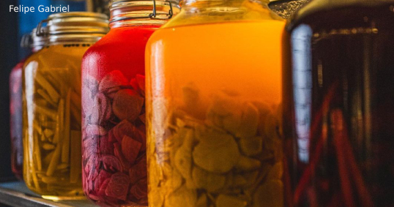 Elevado Conselheiro Elevado Conselheiro