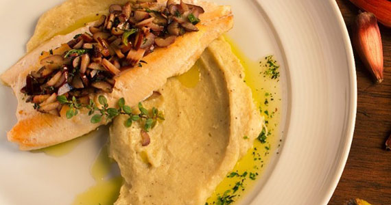 Élio Cucina Speciale Élio Cucina Speciale