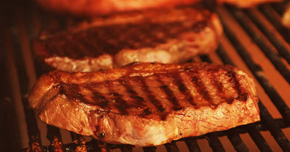 Fazendinha Santa Adélia Fazendinha Santa Adélia