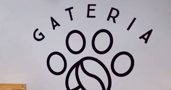 Gateria Cat Cafe