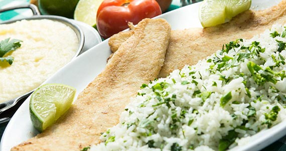 Osteria Generale - Higienópolis Osteria Generale - Higienópolis