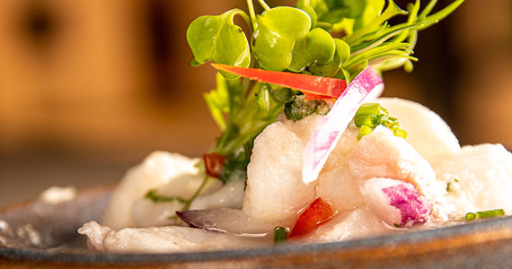 Levels Lounge Bar Levels Lounge Bar