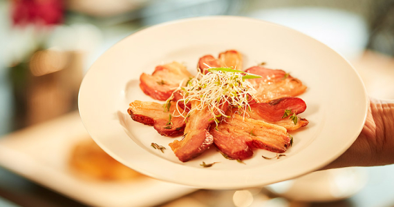 Noah Gastronomia - Verbo Divino