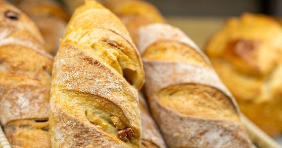 Padaria Orquídea Ouro