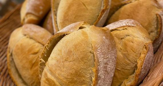 Padaria & Conf. Palmeiras Padaria & Conf. Palmeiras