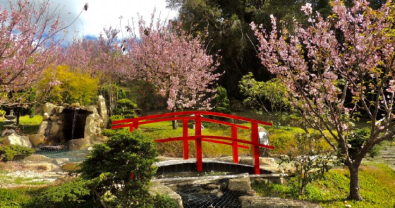 Parque da Cerejeira de Campos do Jordão