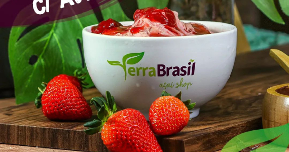 Terra Brasil Açaí Santana