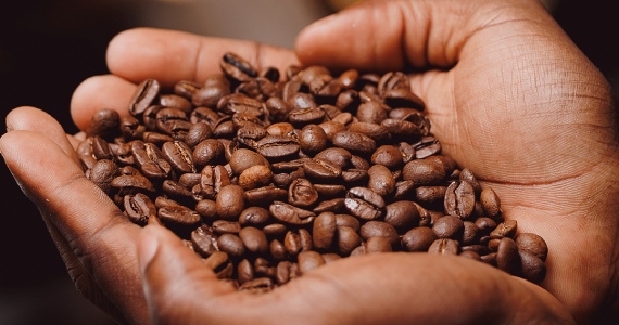 Sterna Café - Tower Bridge Sterna Café - Tower Bridge