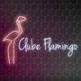 Clube Flamingo Guia BaresSP