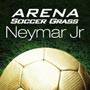 Arena Soccer Grass Neymar  Guia BaresSP