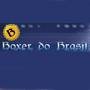 Boxer do Brasil  Guia BaresSP