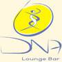 DNA Lounge Bar Guia BaresSP