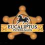 Eucaliptus Guia BaresSP