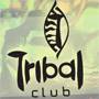Tribal Club Guia BaresSP