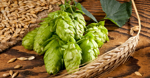 Ingredientes Básicos: O Bê a Bá das cervejas