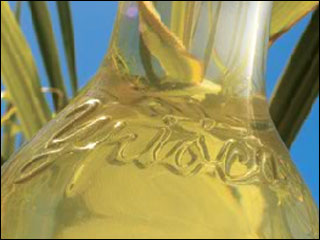 Ypióca lança novo site e traz conteúdo completo sobre a empresa, tipos de cachaças e processo produtivo Ypióca lança novo site e traz conteúdo completo sobre a empresa, tipos de cachaças e processo produtivo