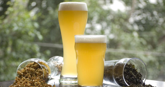 Cervejaria Nacional apresenta rótulos ilustrados por figuras femininas