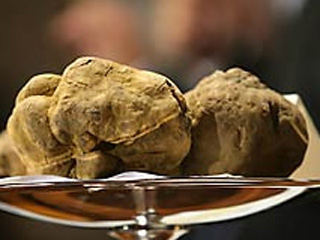 Arrojada e inovadora, Santa Luzia traz ao Brasil as raras Trufas Brancas de Alba
