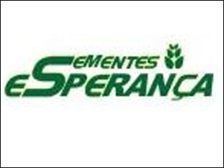 Cresce a concorrência entre óleos vegetais 