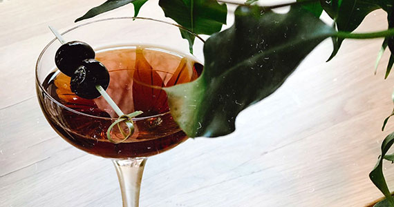 Tudo sobre drink Manhattan Tudo sobre drink Manhattan