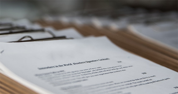 Importância do documento