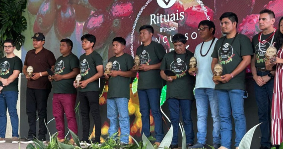 Da floresta ao topo da cafeicultura: concurso em Rondônia revela o potencial do Robusta Amazônico produzido por indígenas