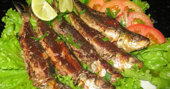 Sardinha grelhada é a sugestão do Elidio Bar para o almoço