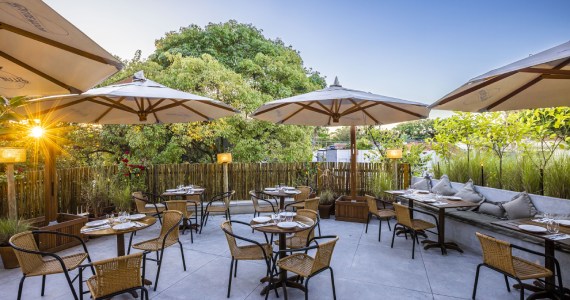 Copa do Mundo no Dhomus