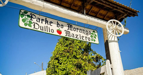 42ª Festa do Morango de Atibaia e Jarinu começa no dia 27 de junho