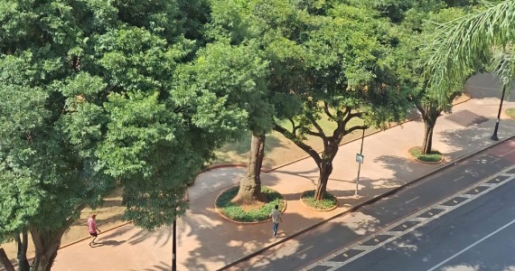 Piquenique comunitário ocupa o Largo do Arouche