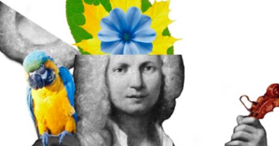 Orquestra indicada ao Grammy une Vivaldi e Samba no Teatro Safra