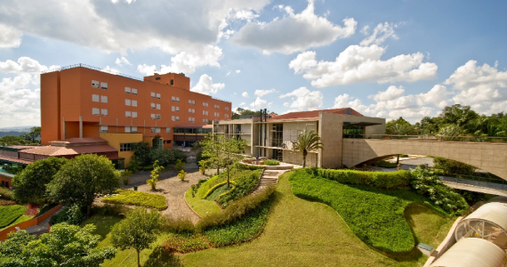 Almenat Tapestry by Hilton oferece oficinas diversas no mês de Agosto