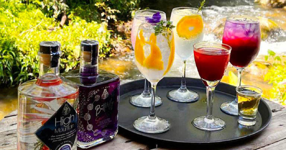 Festival Sabores da Montanha na Destilaria Alquimistas da Serra