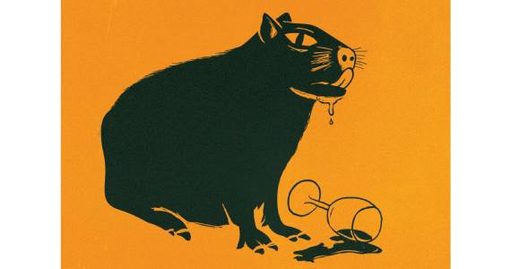 II Encontro Selvagem acontece na Cervejaria Tarantino