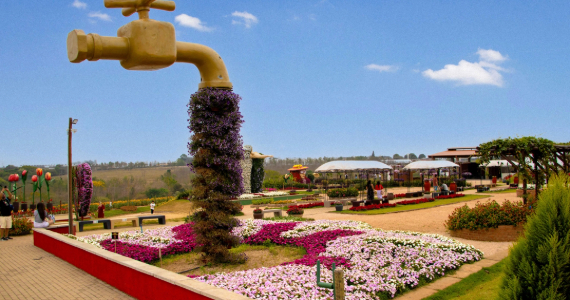 Expoflora 2026: confira atrações da Festa das Flores em Holambra Expoflora 2026: confira atrações da Festa das Flores em Holambra