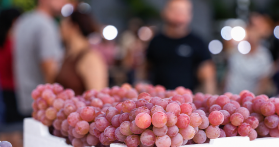 Festa da Uva tem tradição, atrações e experiências para toda a família Festa da Uva tem tradição, atrações e experiências para toda a família