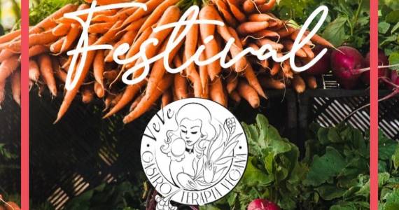 Festival VEVE Festival VEVE