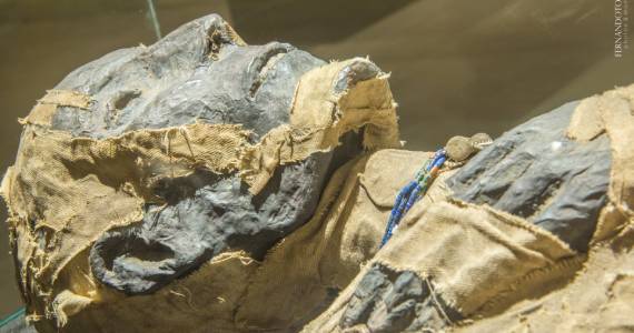 Shopping Pátio Paulista apresenta a 