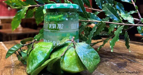 Tatuzinho Bar Pompeia apresenta Drink em prol da preservação da Mata Atlântica