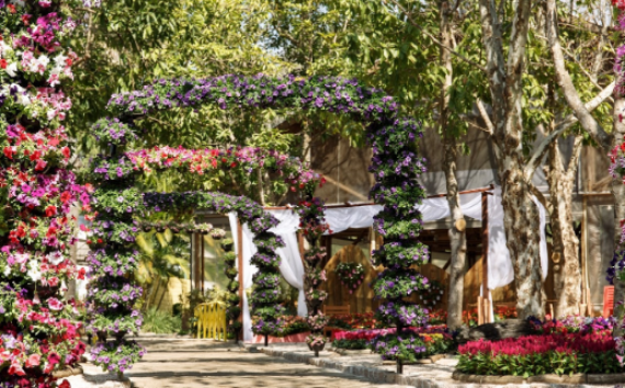 Expoflora Holambra 2023